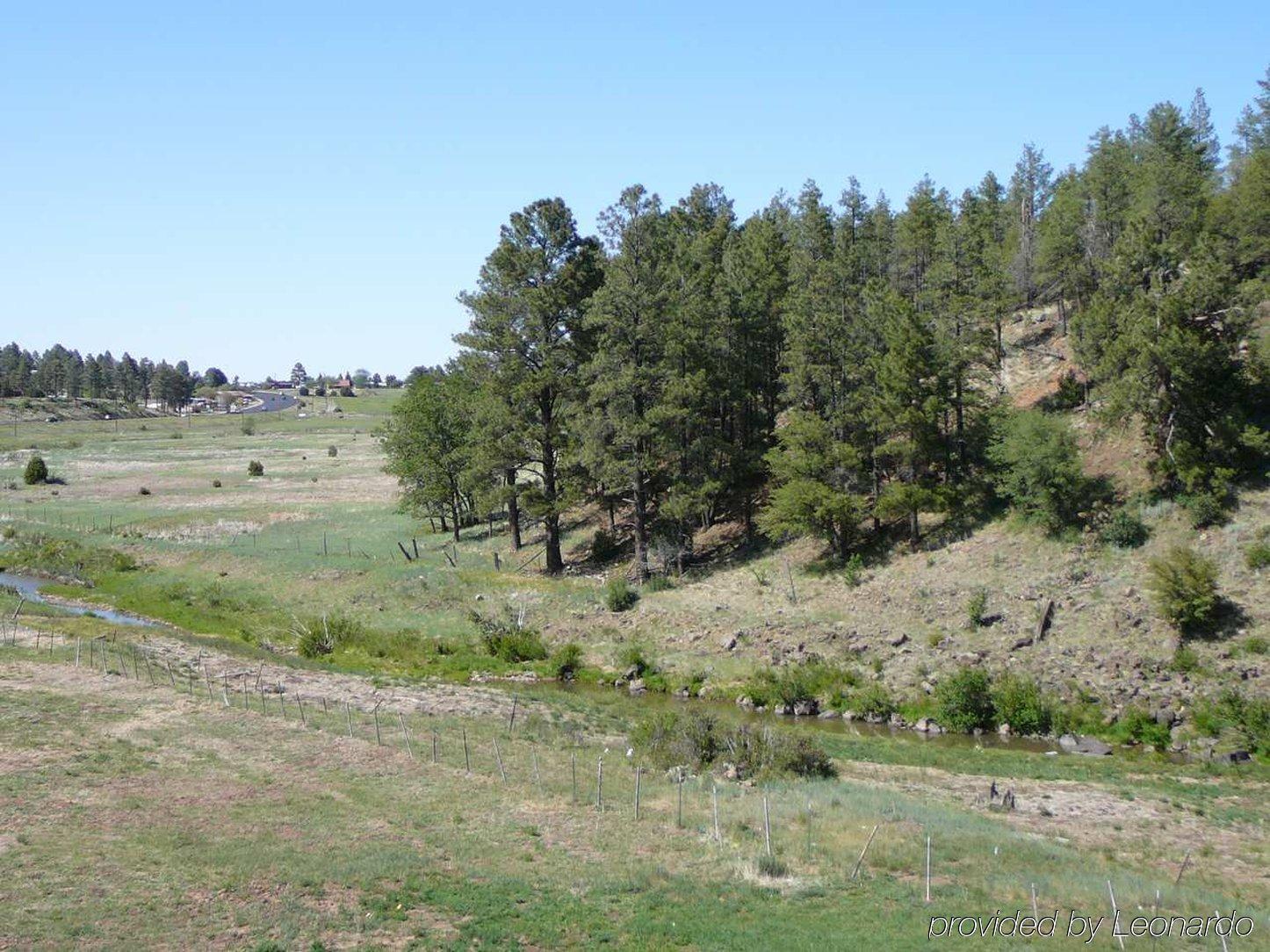 Hampton Inn & Suites Show Low-Pinetop Luaran gambar