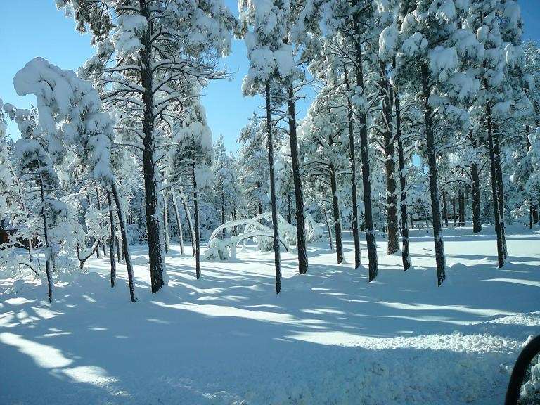 Hampton Inn & Suites Show Low-Pinetop Luaran gambar